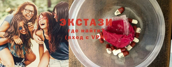 ECSTASY Гусев