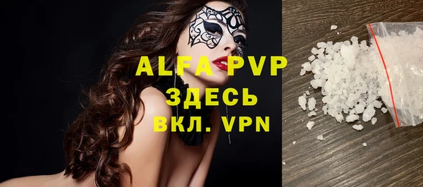 индика Михайлов