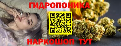 гидропоника Азнакаево