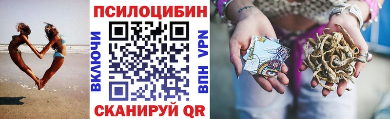 где продают наркотики  Полысаево  Псилоцибиновые грибы мухоморы 