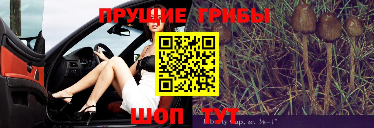 Галлюциногенные грибы Magic Shrooms Полысаево